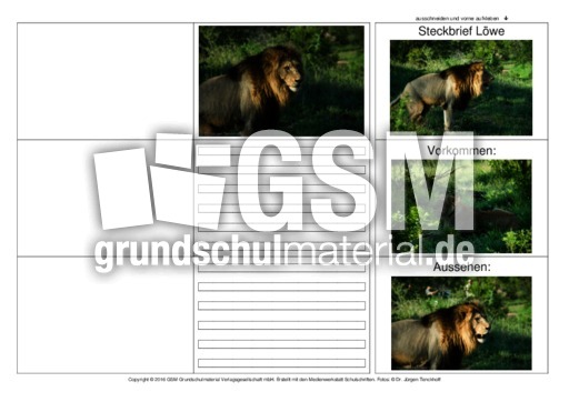 Flip-Flap-Löwe-1.pdf